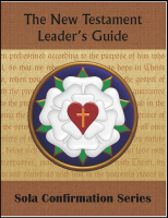 The New Testament (Leader's Guide) C-7065